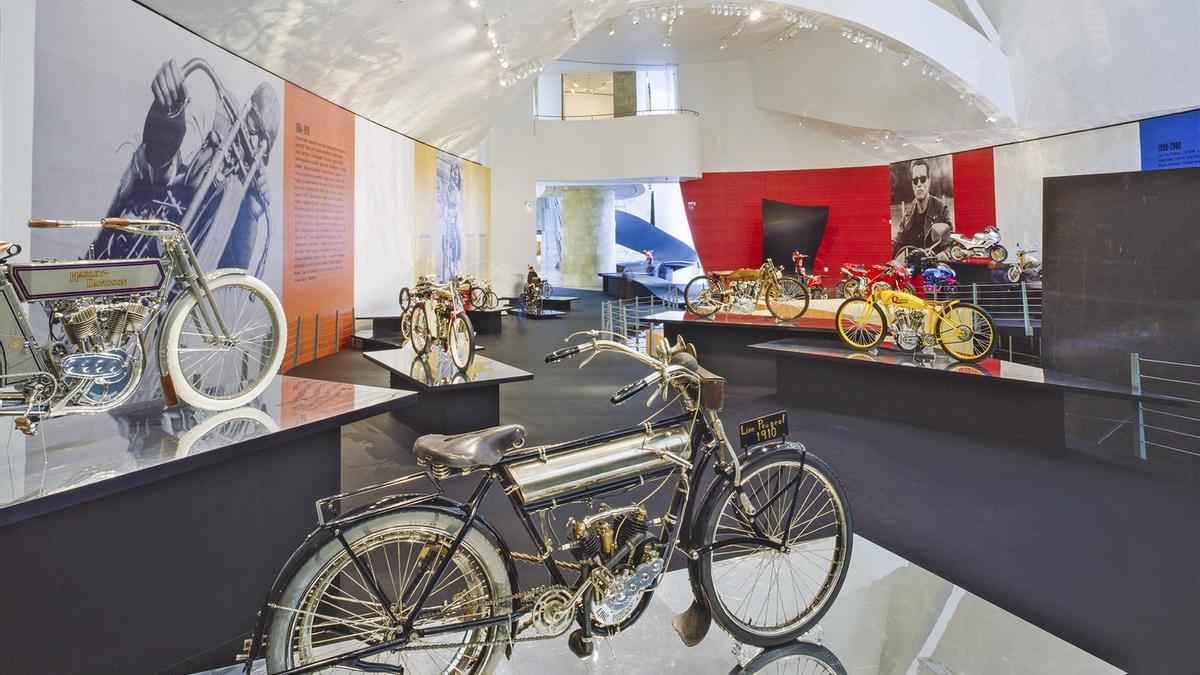 Detalle de la muestra.