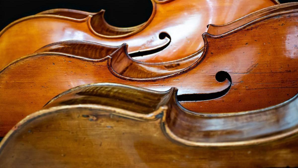 Imagen de detalle de unos violonchelos