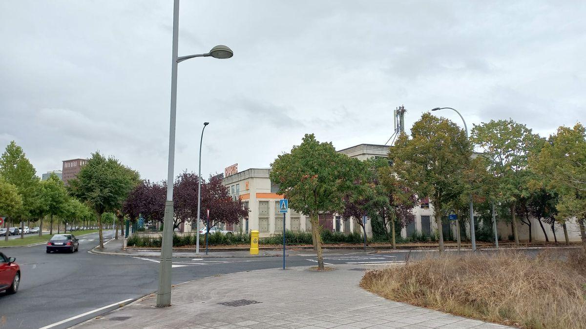 El lugar elegido por una pareja de cigüeñas para construir su nido en Vitoria.