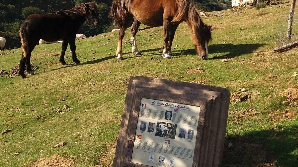 El domingo inaugurarán la placa instalada en Ihi Lepo.