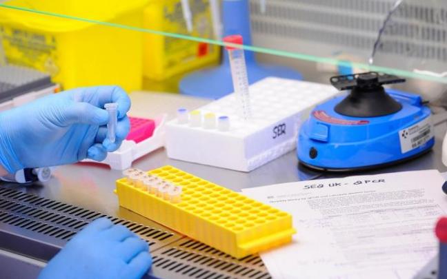 Un laboratorio analiza varias pruebas de detección del coronavirus.