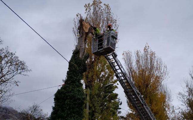 Los bomberos retiran el cableado del árbol