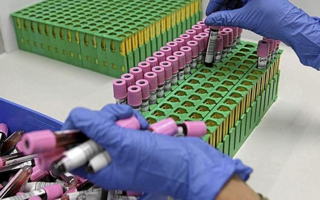 Una técnico de laboratorio ordena varias muestras de sangre para su posterior análisis. Una técnico de laboratorio ordena varias muestras de sangre para su posterior análisis.