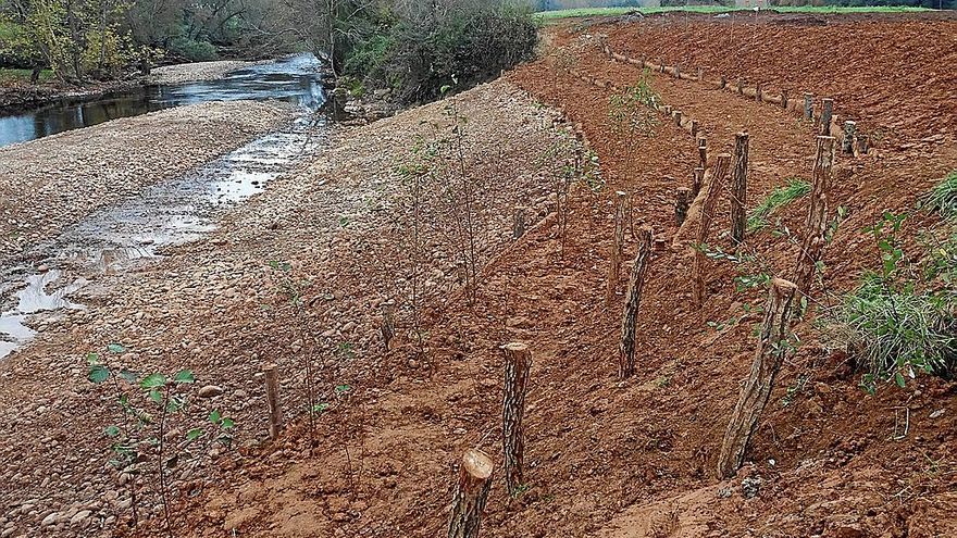 Labores de acondicionamiento de los cauces de un río en una imagen de archivo. | FOTO: E.P.