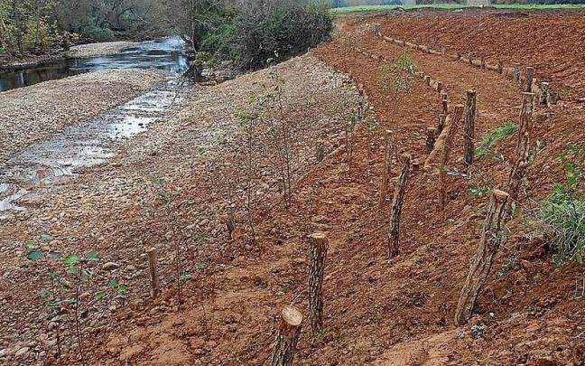 Labores de acondicionamiento de los cauces de un r&iacute;o en una imagen de archivo. | FOTO: E.P.