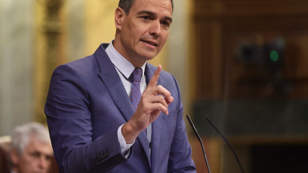 El presidente del Gobierno español, Pedro Sánchez, interviene en una sesión plenaria en el Congreso.