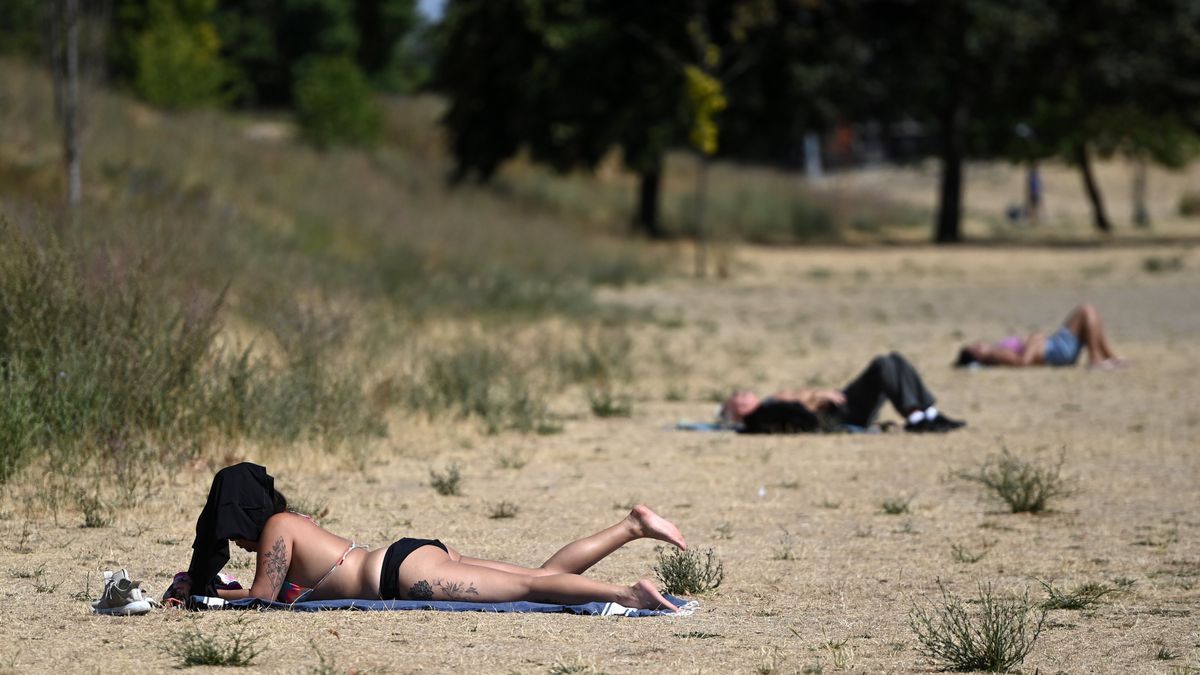 Varias personas toman el sol en un parque de Londres teñido de amarillo por la sequía.