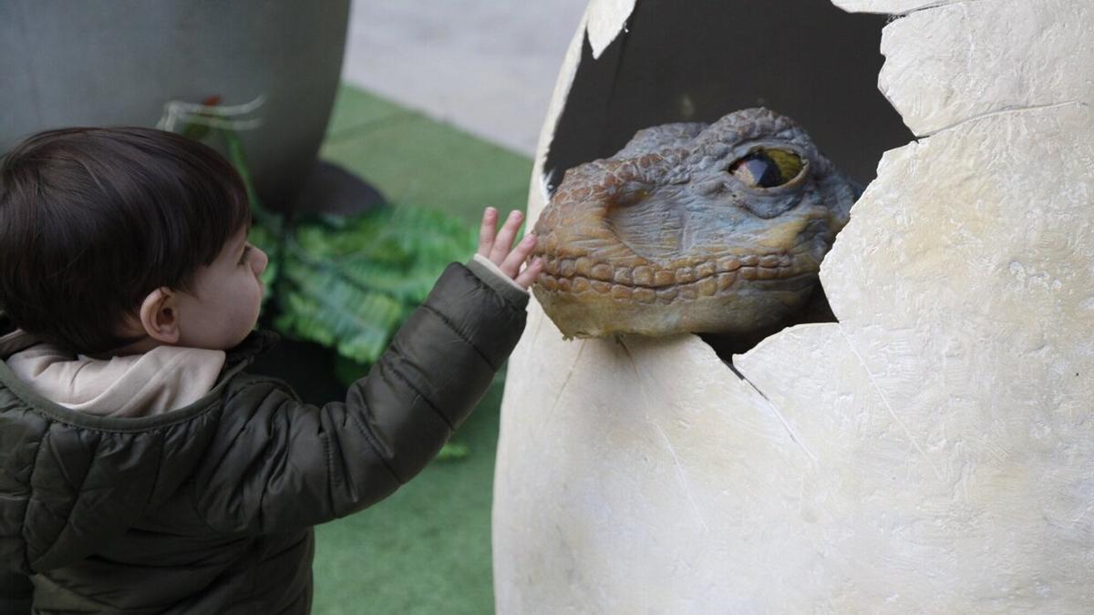 La muestra se dirige a toda la familia.