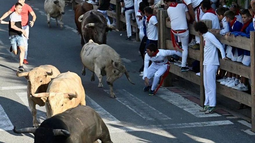 'Malhechor' lanza un derrote durante el primer encierro de fiestas de Tafalla.