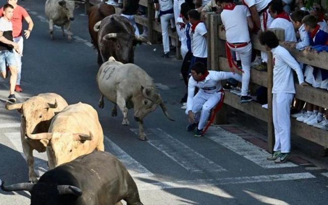 'Malhechor' lanza un derrote durante el primer encierro de fiestas de Tafalla.