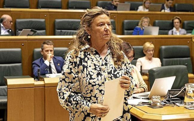 La consejera de Salud, Gotzone Sagardui, ayer en su comparecencia ante el Parlamento. | FOTO: EFE