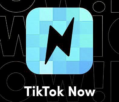 La 'app' de TikTok es una de las que más información recopilan.