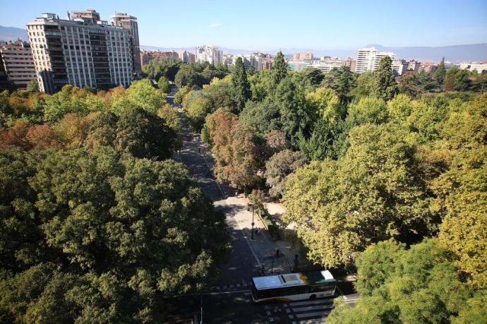 Vista aérea de la zona del hallazgo junto a la Taconera.