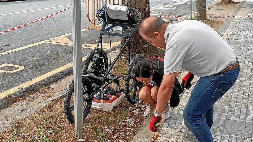 Tecnigral SL ha analizado la situación de los árboles de Nafarroa Kalea, uno por uno. | FOTO: ZARAUZKO UDALA