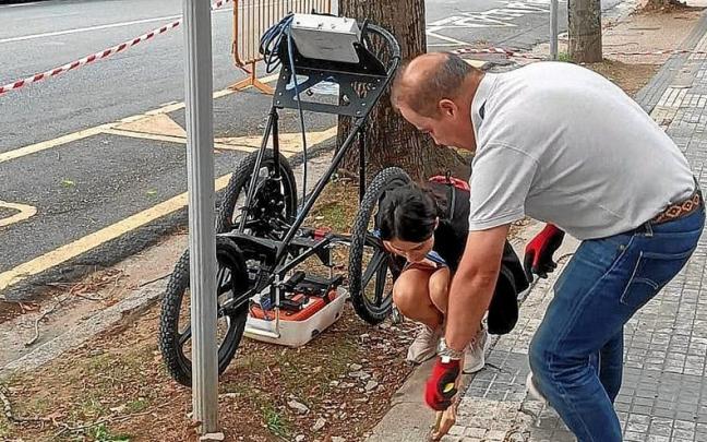 Tecnigral SL ha analizado la situación de los árboles de Nafarroa Kalea, uno por uno. | FOTO: ZARAUZKO UDALA Tecnigral SL ha analizado la situación de los árboles de Nafarroa Kalea, uno por uno. | FOTO: ZARAUZKO UDALA