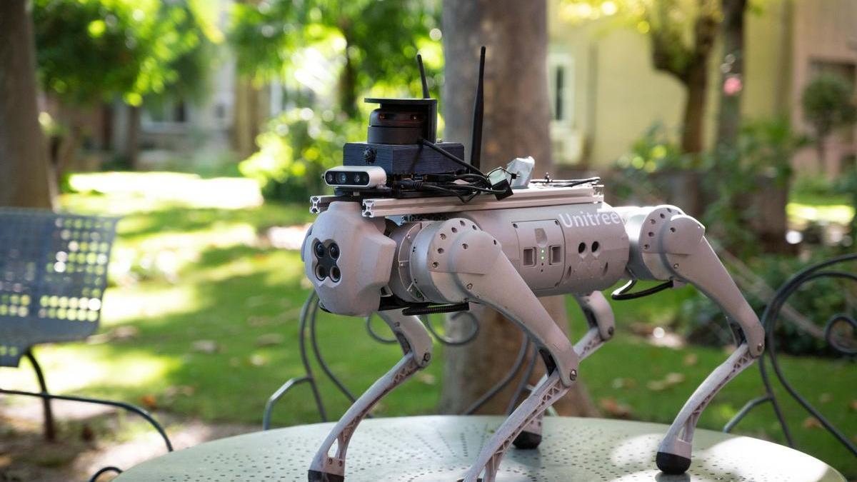 'Tefi', el perro-robot para personas con discapacidad.