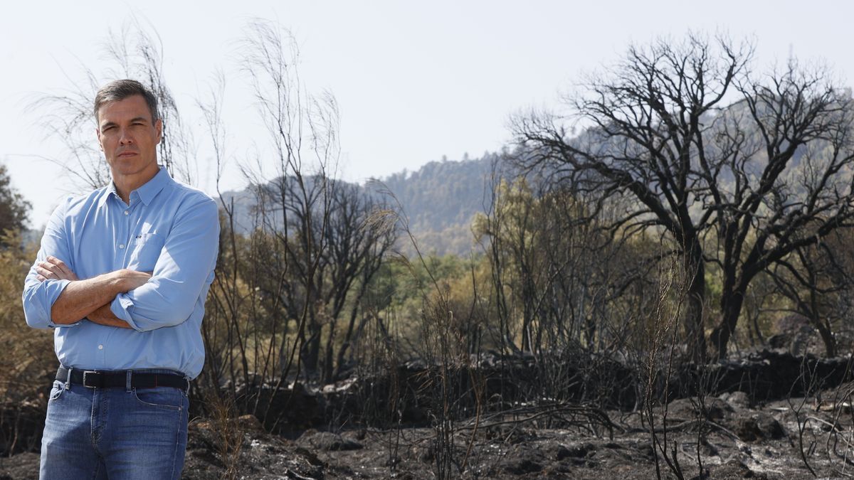 Pedro Sánchez visita en Extremadura una de las zonas afectadas por los incendios activos.