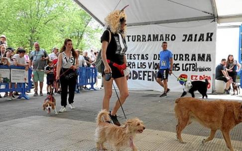 Imagen del desfile canino.