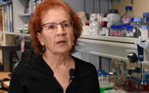 La viróloga del CSIC ha defendido la importancia de que toda la población esté inmunizada contra el coronavirus La viróloga del CSIC ha defendido la importancia de que toda la población esté inmunizada contra el coronavirus