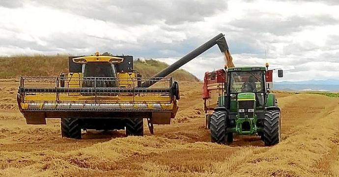 Una cosechadora descarga el cereal recogido en una finca.