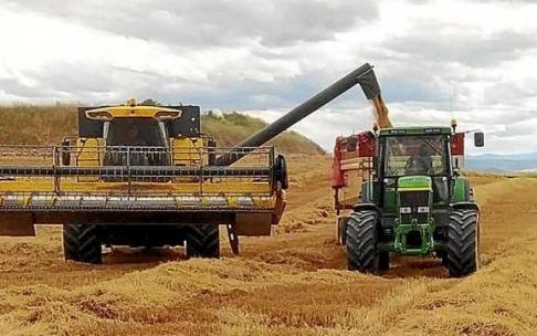 Una cosechadora descarga el cereal recogido en una finca.