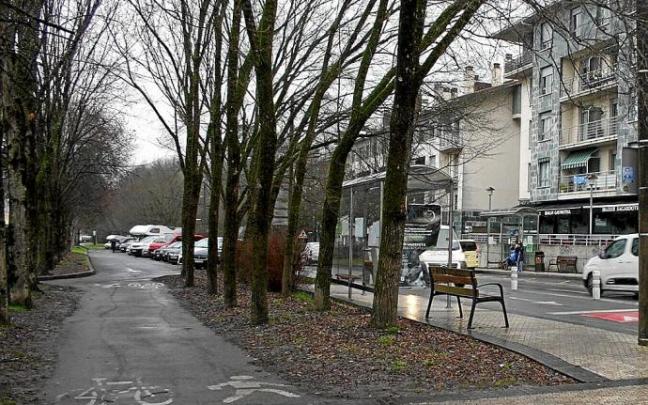 Algunos de los árboles que se talarán con la reurbanización.