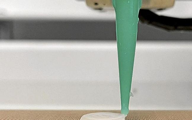 Una de las pruebas del experimento. | FOTO: UPV/EHU Una de las pruebas del experimento. | FOTO: UPV/EHU