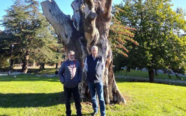 Gorka Urreiztieta y Javier Laiseca, junto al tocón del cedro. Gorka Urreiztieta y Javier Laiseca, junto al tocón del cedro.