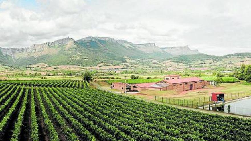 Panorámica de la bodega Artomaña Txakolina