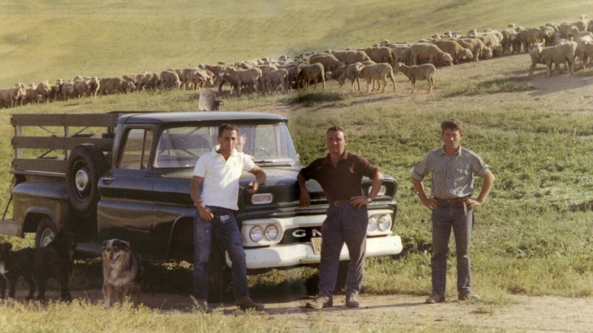 La gran mayoría de los navarros que emigraron a América eran pastores.