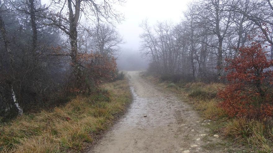 Pista de subida a Zaldiaran desde Eskibel, antes de la actuación realizada en la misma hace unos días