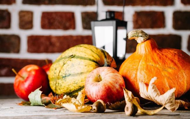 Productos oto&ntilde;ales recolectados.