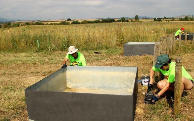 Varios j&oacute;venes participan en un campo de trabajo del Gobierno vasco.