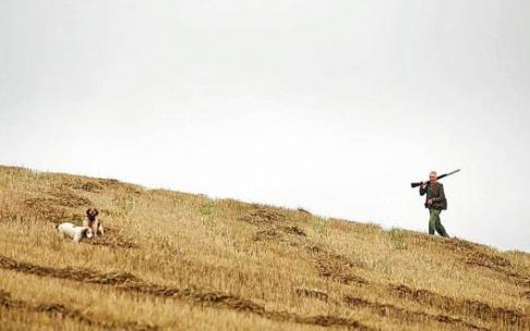 Un cazador, ajeno a la información, junto a sus perros en las afueras de la capital alavesa. Foto: Efe