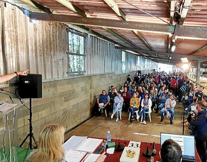 Se pujó por piezas de cabeza de ganado pireinaico y pottoka. Foto: DFB