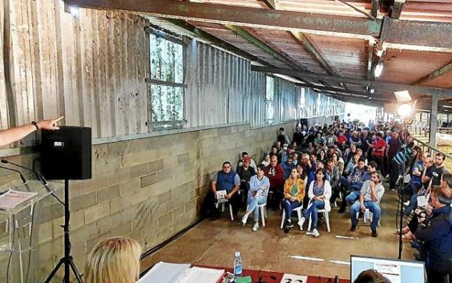 Se pujó por piezas de cabeza de ganado pireinaico y pottoka. Foto: DFB