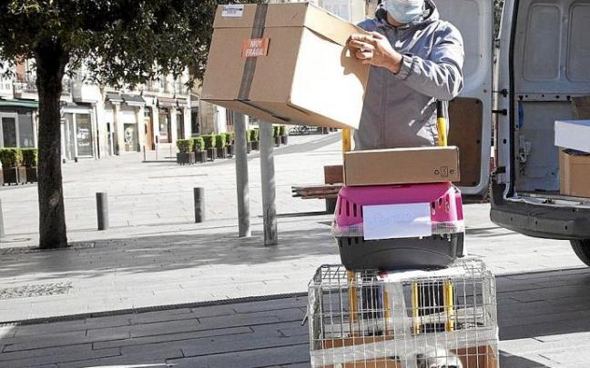 Una persona, sin relación con la información, trabajando. Foto: Josu Chavarri