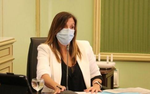 La directora general de Salud Pública del Govern balear, Maria Antònia Font, durante su comparencia en el Parlament. La directora general de Salud Pública del Govern balear, Maria Antònia Font, durante su comparencia en el Parlament.