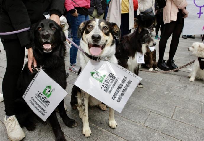 Dos perros en un concentración convocada por Apasos contra los malos tratos a los animales