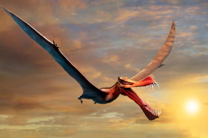 Recreación del nuevo pletosaurio hallado en Australia.