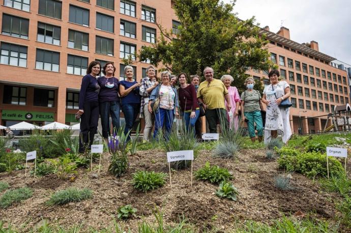 El grupo de vecinas de la Milagrosa que ha plantado el jardín comunitario en la plaza Felisa Munárriz.