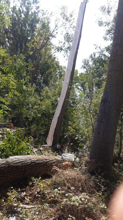 Los hechos han ocurrido sobre las 12.15 horas, cuando la Ertzaintza ha recibido el aviso de este accidente laboral.