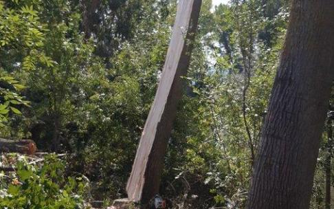 Los hechos han ocurrido sobre las 12.15 horas, cuando la Ertzaintza ha recibido el aviso de este accidente laboral. Los hechos han ocurrido sobre las 12.15 horas, cuando la Ertzaintza ha recibido el aviso de este accidente laboral.