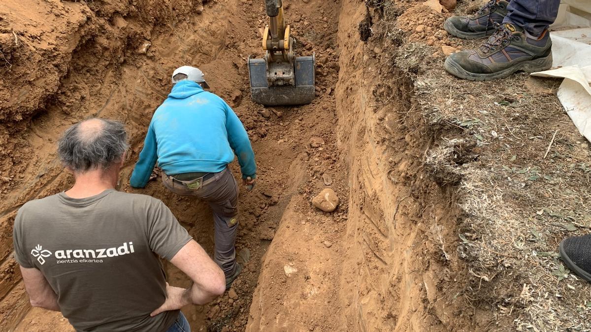 Las labores de exhumación en el cementerio de Jaca han sido realizadas por Aranzadi.