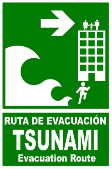 El Plan de Señalización del Plan Estatal de Maremotos sigue un modelo más utilizado internacionalmente, con el objetivo de que los ciudadanos de cualquier país puedan identificar fácilmente las vías de evacuación.