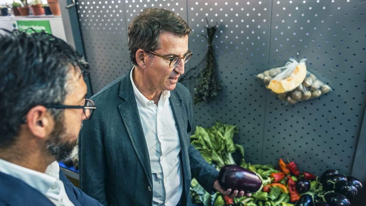 Alberto Nuñez Feijóo realiza un recorrido por locales comerciales y de hostelería de Porto do Son, en A Coruña.