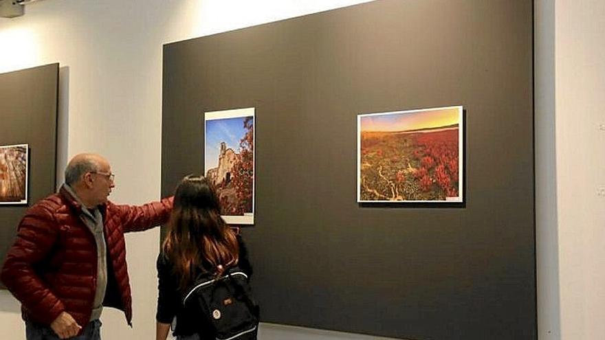 Fotografías de la muestra que está abierta hasta el día 21. | FOTO: MONDRABERRI