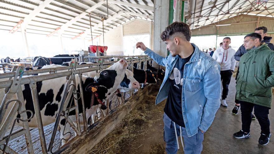 Visita de Osasuna a Lacturale