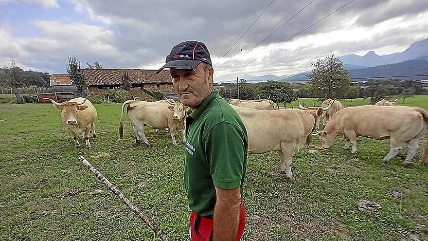 El iurretarra Jon Bikandi lleva participando 15 años en los concursos de ganadería. | FOTO: K. DOYLE