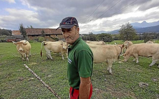 El iurretarra Jon Bikandi lleva participando 15 años en los concursos de ganadería. | FOTO: K. DOYLE
